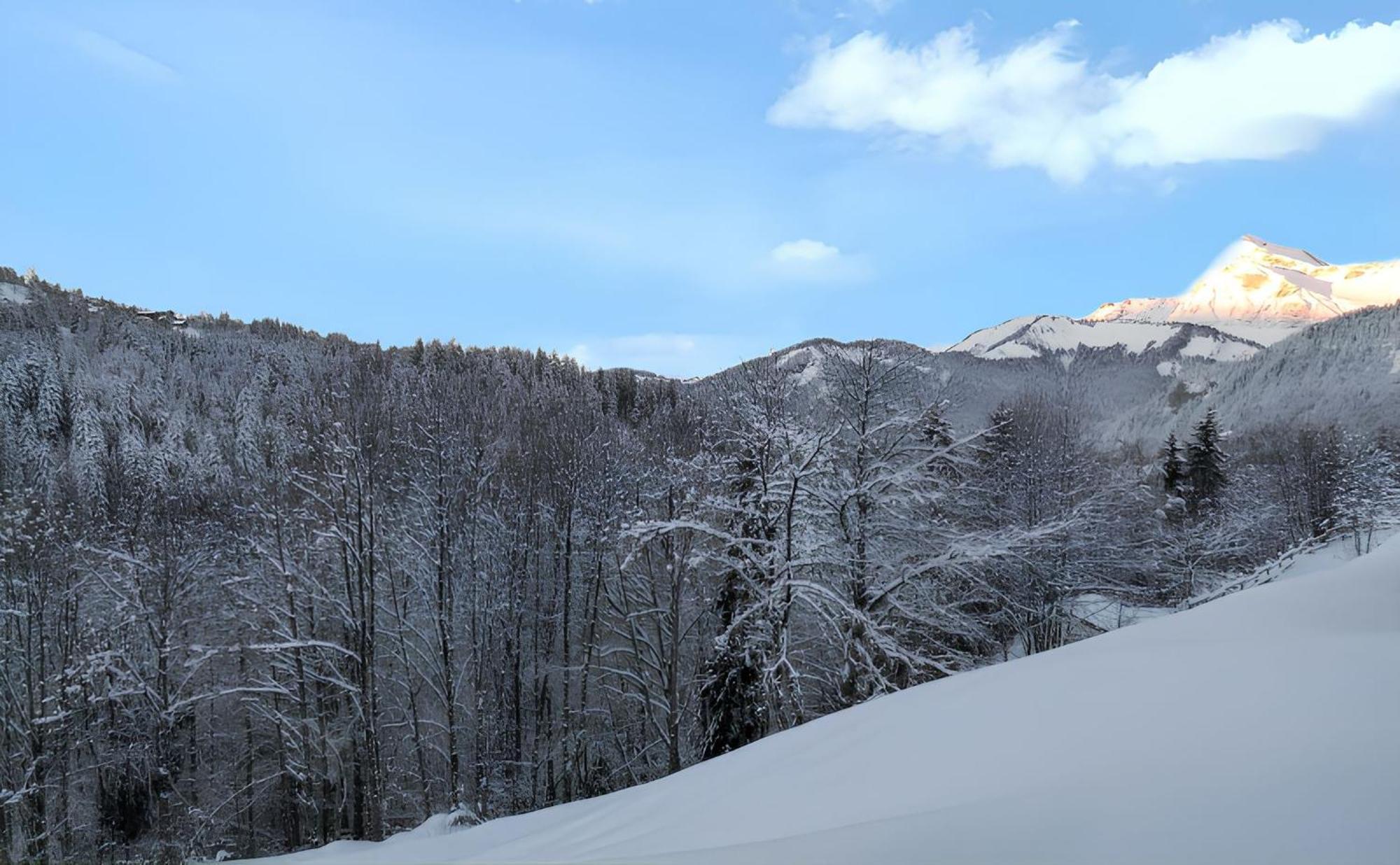 Appartement Confortable Avec Vue Sur La Montagne Notre-Dame-de-Bellecombe Kültér fotó